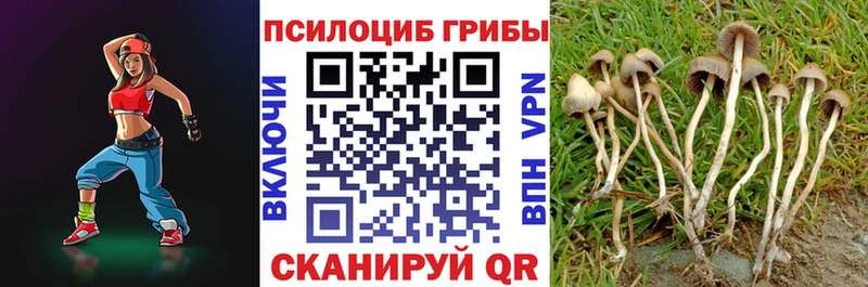 Купить где  Абакан  Галлюциногенные грибы Magic Shrooms 